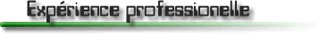 Exp&eacute;riences professionnelles